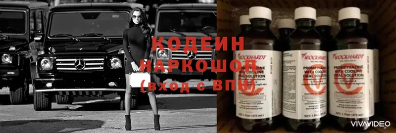 как найти наркотики  Зверево  Кодеиновый сироп Lean Purple Drank 